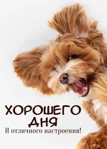 Коллекция картинок на тему «Открытки «Хорошего дня!»»