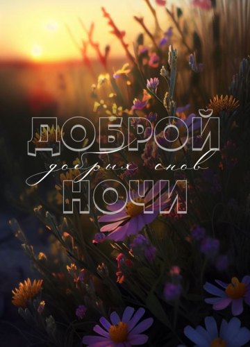 Коллекция картинок на тему «Летние открытки «Спокойной доброй ночи!»»