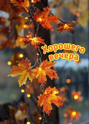 Коллекция картинок на тему «Осенние открытки «Хорошего доброго вечера!»»