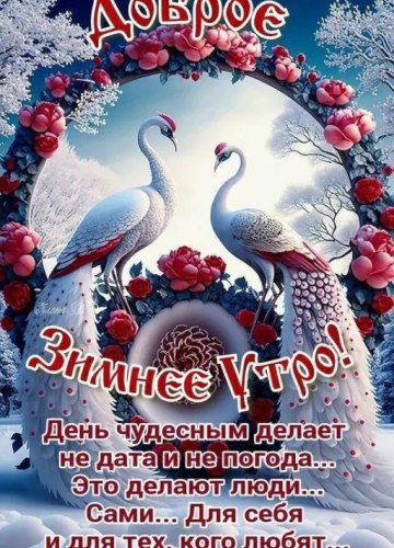 Коллекция картинок на тему «Открытки «С добрым зимним утром!» с животными»