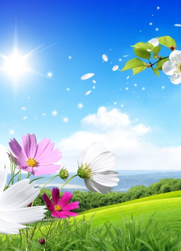 Коллекция картинок на тему «Весна»