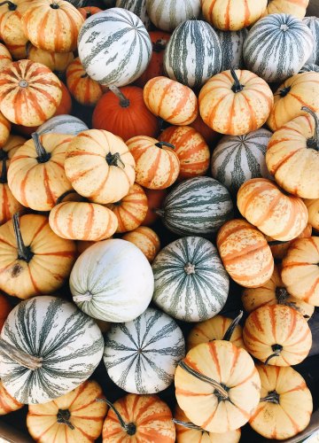 Коллекция картинок на тему «Обои Тыквы»