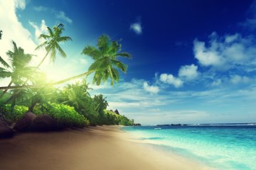 Коллекция картинок на тему «Обои Море, Пляж, Пальмы»