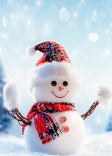 Коллекция картинок на тему «Обои Снеговик»