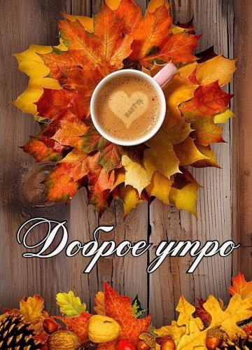 Коллекция картинок на тему «Осенние открытки «С Добрым Утром!»»