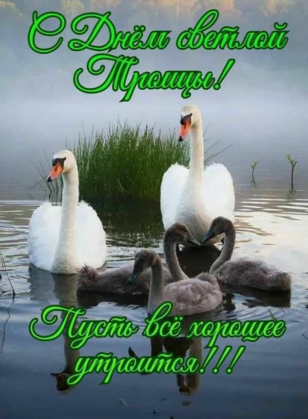 Изображение №3 720x980 «С Днём Святой Троицы! Пусть всё хорошее утроится!» из коллекции «Открытки «С Днем Святой Троицы!»»