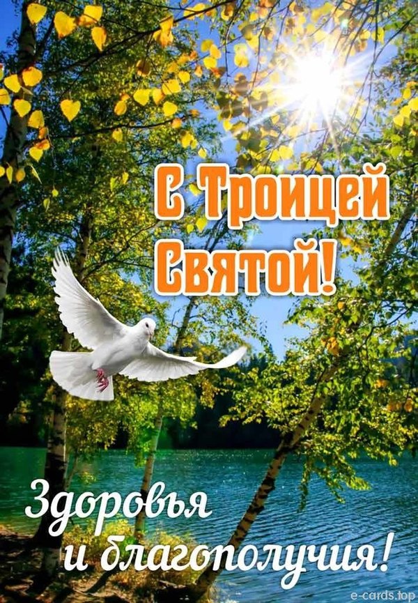 Изображение №11 710x1024 «С Троицей Святой! Здоровья и благополучия!» из коллекции «Открытки «С Днем Святой Троицы!»»