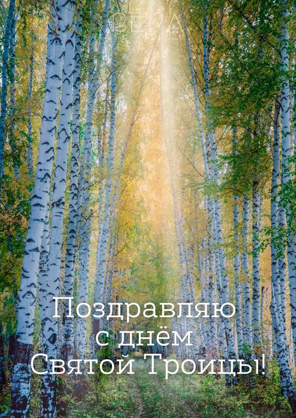 Изображение №37 848x1200 «Поздравляю с днём Святой Троицы!» из коллекции «Открытки «С Днем Святой Троицы!»»