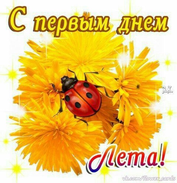 Изображение №26 480x495  из коллекции «Открытки «С первым днем лета!»»