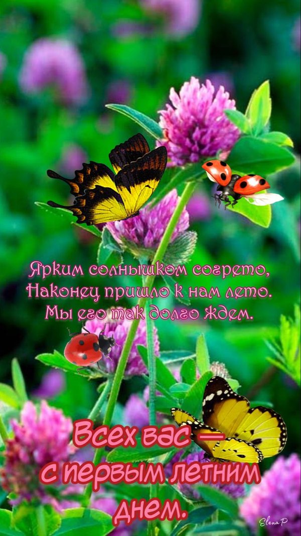 Изображение №2 675x1200  из коллекции «Открытки «С первым днем лета!»»