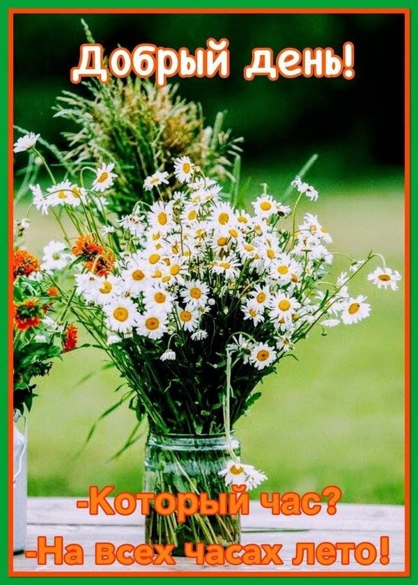 Изображение №3 736x1030 «Добрый день! На всех часах лето!» из коллекции «Открытки «С первым днем лета!»»