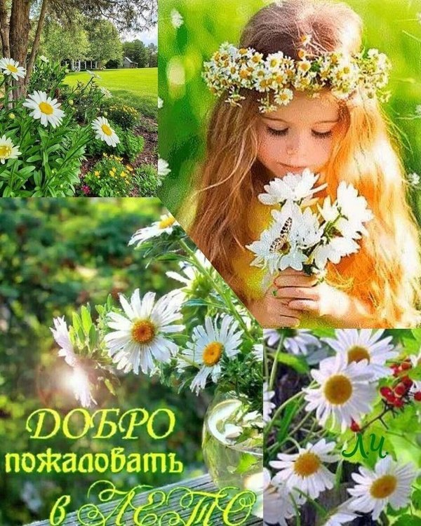 Изображение №7 736x920 «Добро пожаловать в лето!» из коллекции «Открытки «С первым днем лета!»»