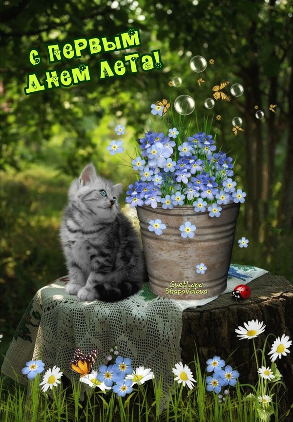 Изображение №17 1280x1843  из коллекции «Открытки «С первым днем лета!»»