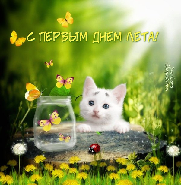 Изображение №22 1280x1314  из коллекции «Открытки «С первым днем лета!»»