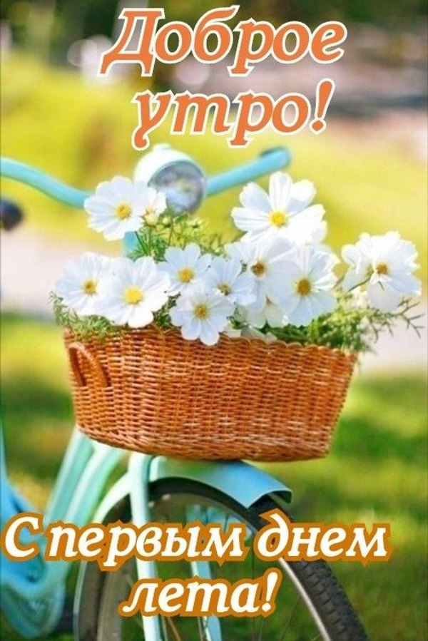 Изображение №1 502x752 «Доброе утро! С Первым днем лета!» из коллекции «Открытки «С первым днем лета!»»