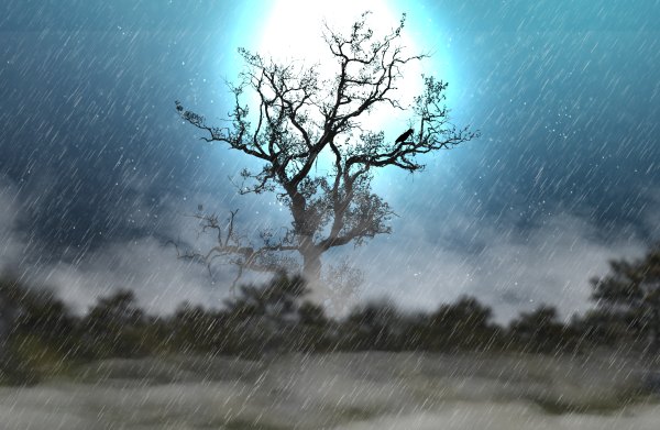 Изображение №48 4960x3229 «Дождь при луне, большое голое дерево, фантастика» из коллекции «Обои Дождь»