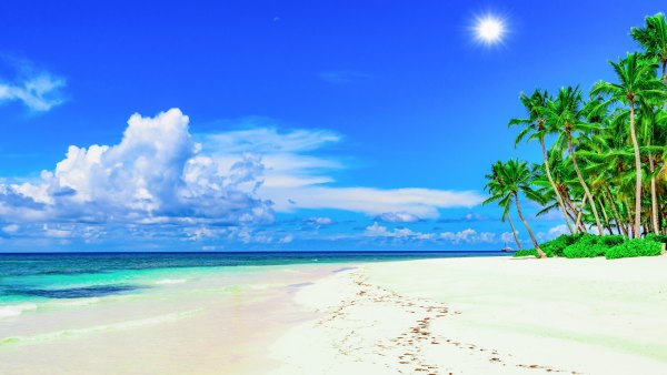 Изображение №39 3840x2160  из коллекции «Обои Море, Пляж, Пальмы»