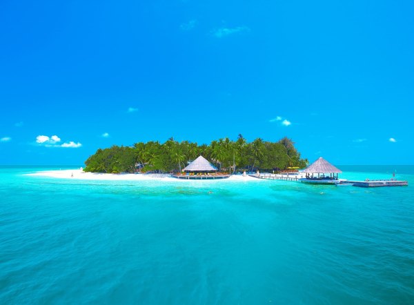 Изображение №50 2048x1509  из коллекции «Обои Море, Пляж, Пальмы»