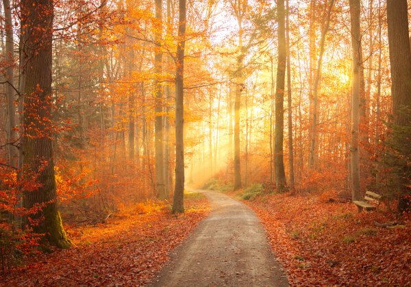 Изображение №19 3000x2094  из коллекции «Красивые осенние обои, Осень»