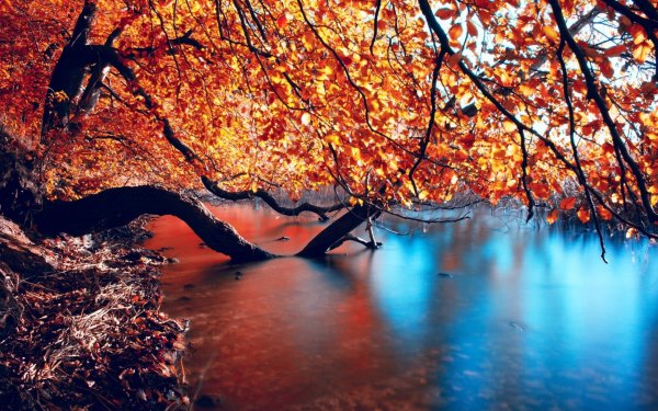 Изображение №13 2880x1800  из коллекции «Красивые осенние обои, Осень»