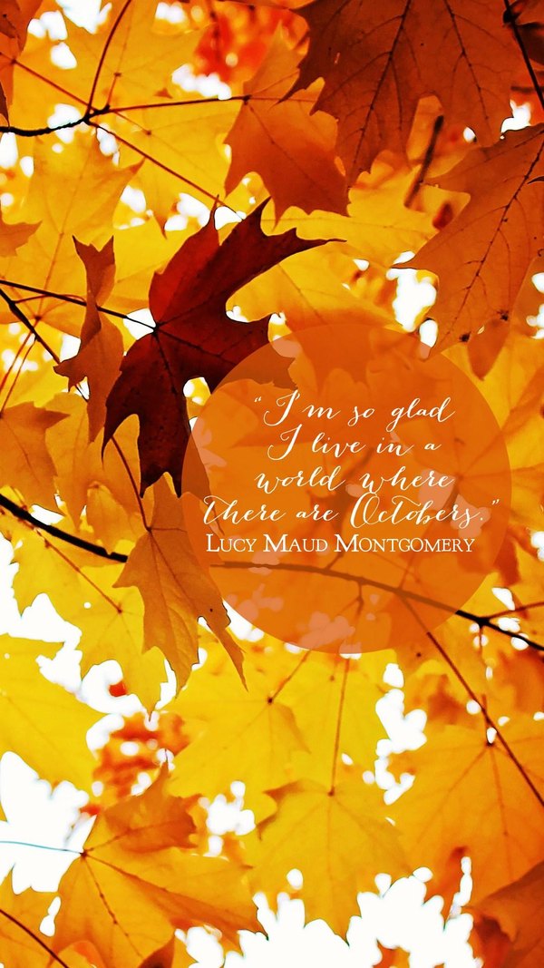 Изображение №18 1080x1920 «Октябрь» из коллекции «Осень, Красивые осенние обои»