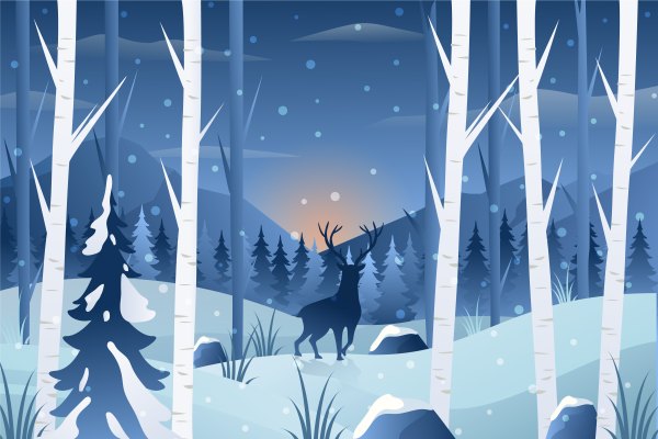 Изображение №22 3000x2000 «Красивый арт, зимний пейзаж, закат» из коллекции «Зимний лес»