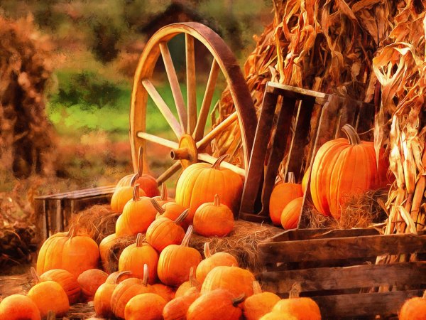 Изображение №54 5600x4200  из коллекции «Обои Тыквы»