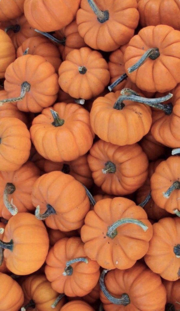 Изображение №45 1125x1940  из коллекции «Обои Тыквы»