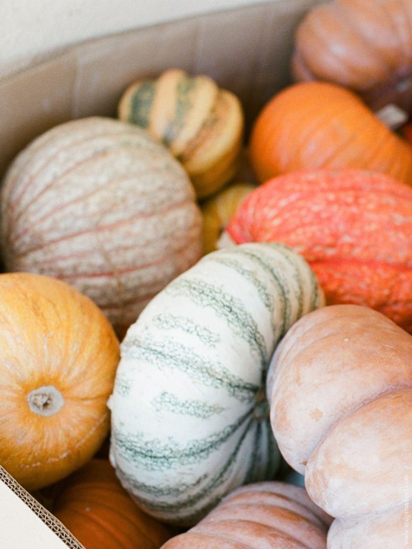 Изображение №20 1536x2048  из коллекции «Обои Тыквы»