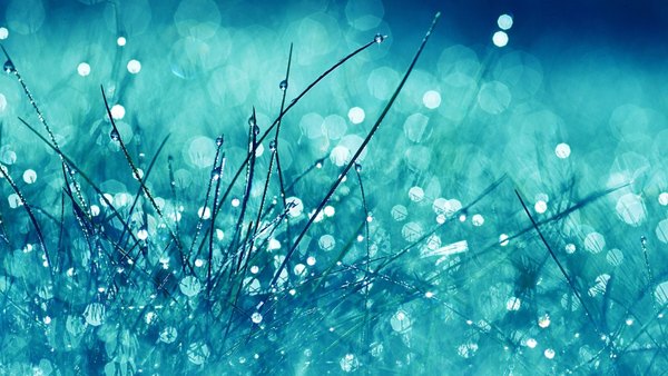 Изображение №30 1920x1080  из коллекции «Яркие Обои»