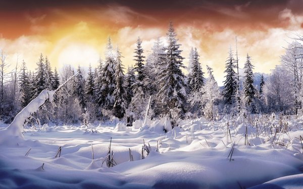 Изображение №41 1920x1200 «Зимний пейзаж» из коллекции «Зимний лес»