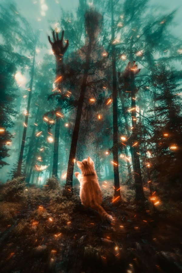 Изображение №31 2364x3546 «Волшебный новогодний лес, рыжик котик» из коллекции «Обои Зима»