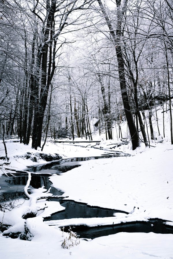 Изображение №30 3570x5355 «Ручей в лесу, зима, снег» из коллекции «Обои Зима»