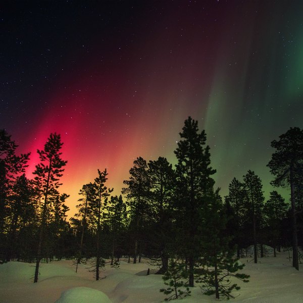 Изображение №20 2048x2048 «Алое северное сияние» из коллекции «Обои Зимняя Ночь»