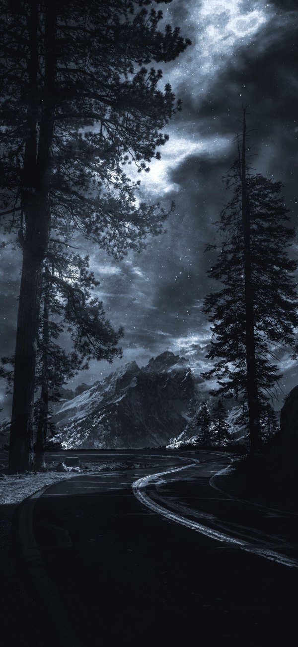 Изображение №11 1407x3045 «Дорога, зима, ночь» из коллекции «Обои Зимняя Ночь»