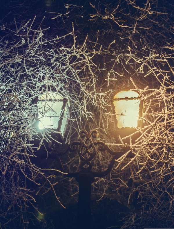 Изображение №21 3334x4376 «Фонари в ветках с инием, ночь» из коллекции «Обои Зимняя Ночь»