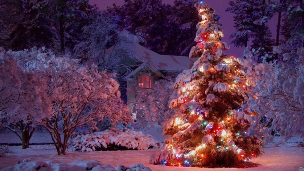 Изображение №24 1920x1080 «Красивая ёлка с игрушками на улице» из коллекции «Новогодние Обои»