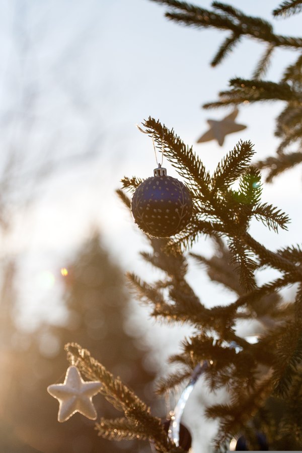 Изображение №23 2304x3456 из коллекции «Новогодние Обои»