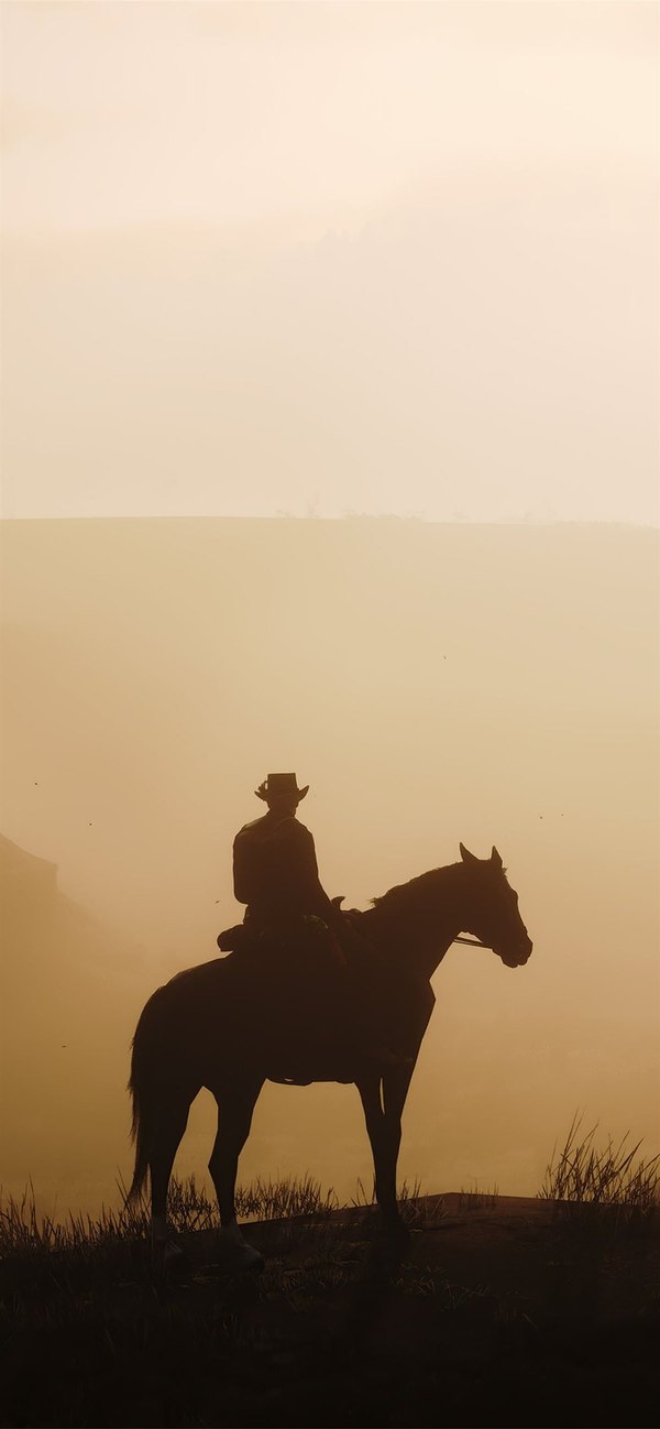 Изображение №3 1170x2532 «На коне Red dead redemption 2» из коллекции «Обои Red Dead Redemption»