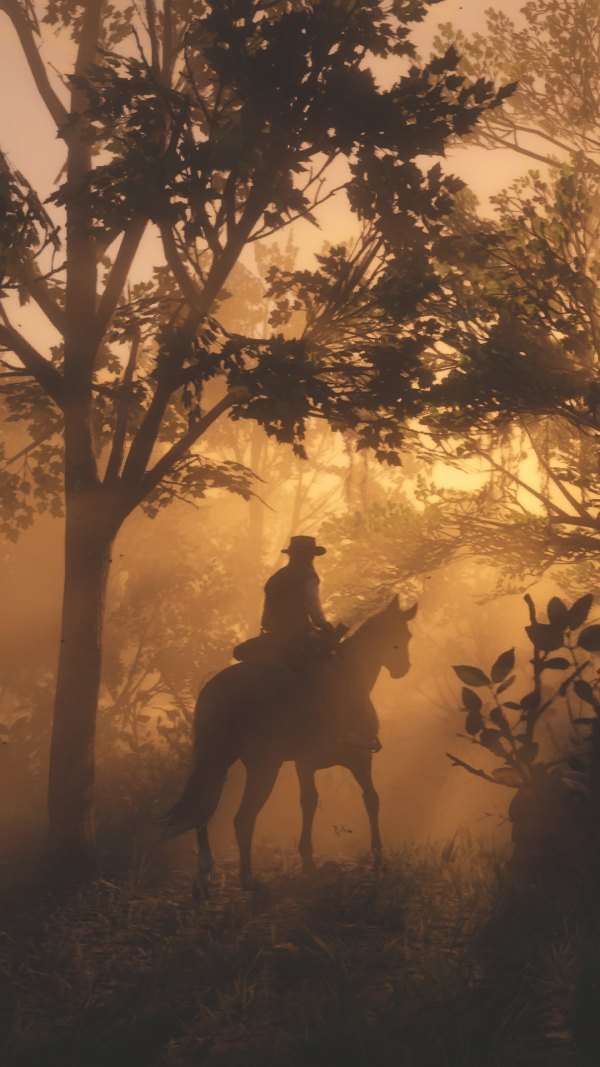 Изображение №11 1080x1920  из коллекции «Обои Red Dead Redemption»