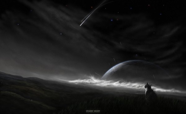 Изображение №16 1920x1173 «Кот смотрит на космос в небе ночью» из коллекции «Обои Кот в Космосе»
