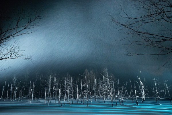 Изображение №45 2000x1336 «Зимняя ночь, лесок» из коллекции «Зимний лес»