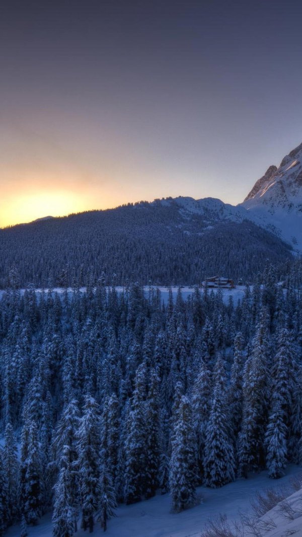 Изображение №36 1080x1920 «Зимний пейзаж, закат, лес, горы» из коллекции «Зимний лес»