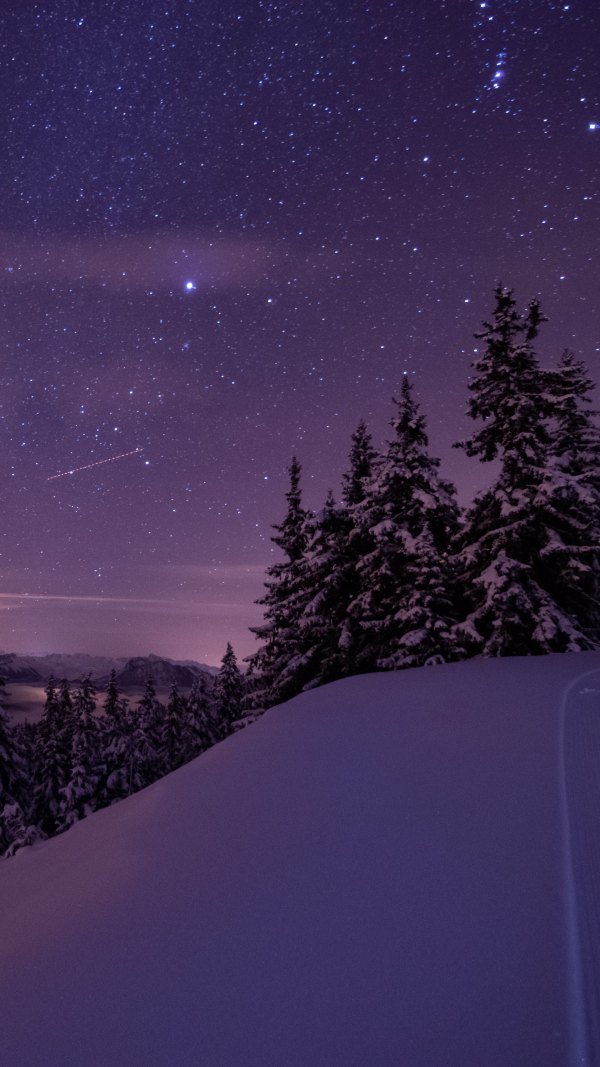 Изображение №23 2160x3840 «Зимний ночной пейзаж, звездное небо» из коллекции «Зимний лес»