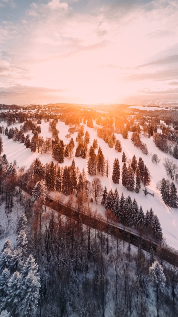 Изображение №38 1080x1920 «Зимний Пейзаж с высоты, утро над зимним лесом, дорога» из коллекции «Зимний лес»