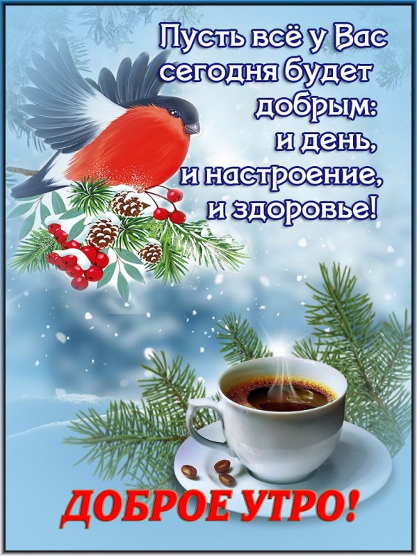 Изображение №7 848x1131 «Пусть всё у Вас сегодня будет добрым: и день, и настроение, и здоровье! ДОБРОЕ УТРО!» из коллекции «Открытки «С добрым зимним утром!» с животными»