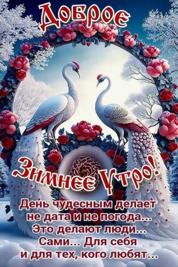 Изображение №14 512x768 «Доброе зимнее утро!» из коллекции «Открытки «С добрым зимним утром!» с животными»