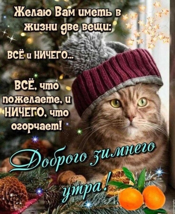 Изображение №11 735x899 из коллекции «Открытки «С добрым зимним утром!» с животными»