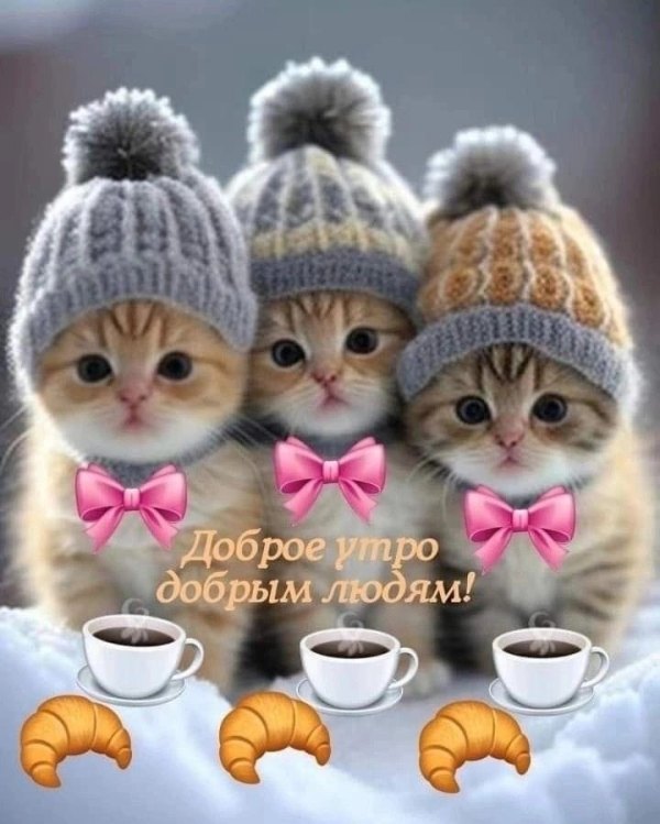 Изображение №10 720x899 «Доброе утро добрым людям. Три котенка в шапочках.» из коллекции «Открытки «С добрым зимним утром!» с животными»