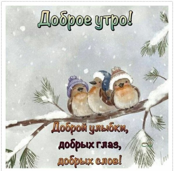 Изображение №13 720x708 «Доброе утро! Доброй улыбки, добрых глаз, добрых слов!» из коллекции «Открытки «С добрым зимним утром!» с животными»